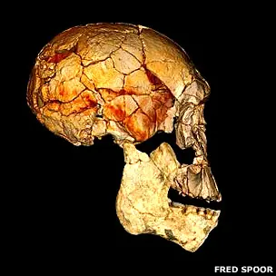 Descubren una nueva especie humana en África