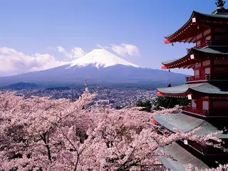 Razones para estudiar Japones