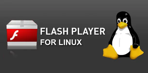 Problema en Chromium con Flash