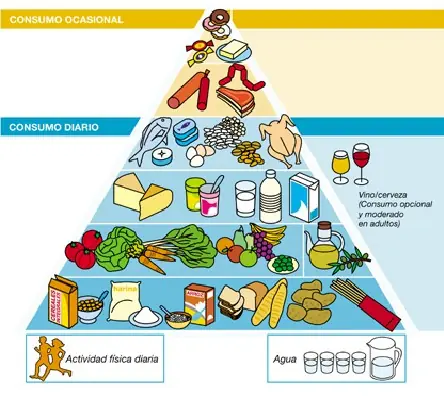 Los carbohidratos se convierten en grasa?