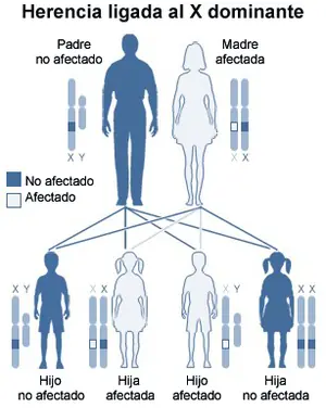 enfermedades