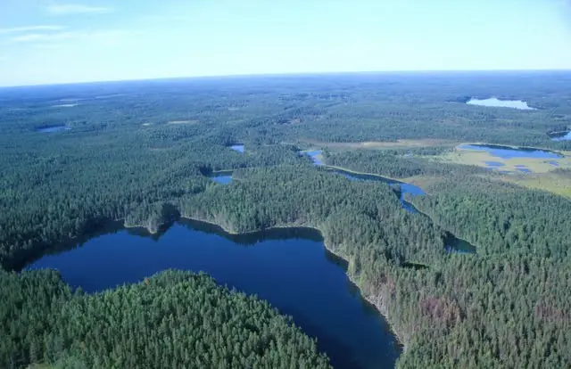 Rusia: 200 tanques abandonados en los bosques