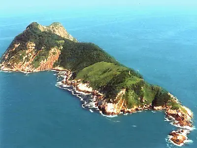 isla de Queimada Grande, una de las mas peligrosas del mundo