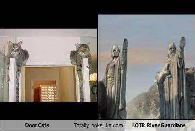 Parecidos: Celebridades , animales y objetos. reite