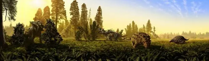 Aclaran el misterio de la convivencia estable entre especies