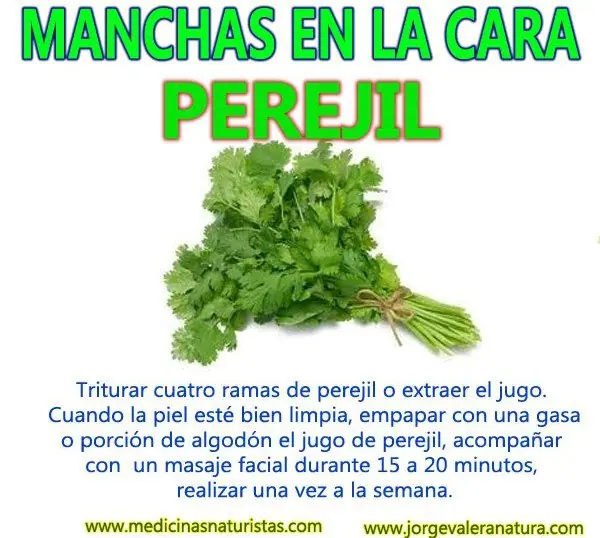 Remover manchas en la cara con jugo de perejil