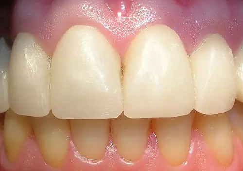 odontologo