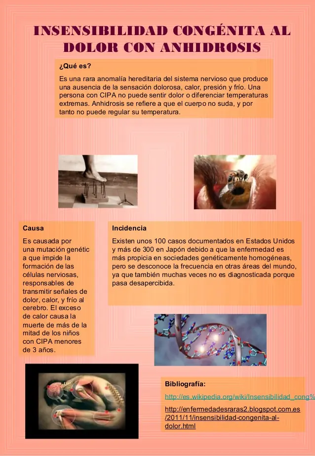 bieniestar