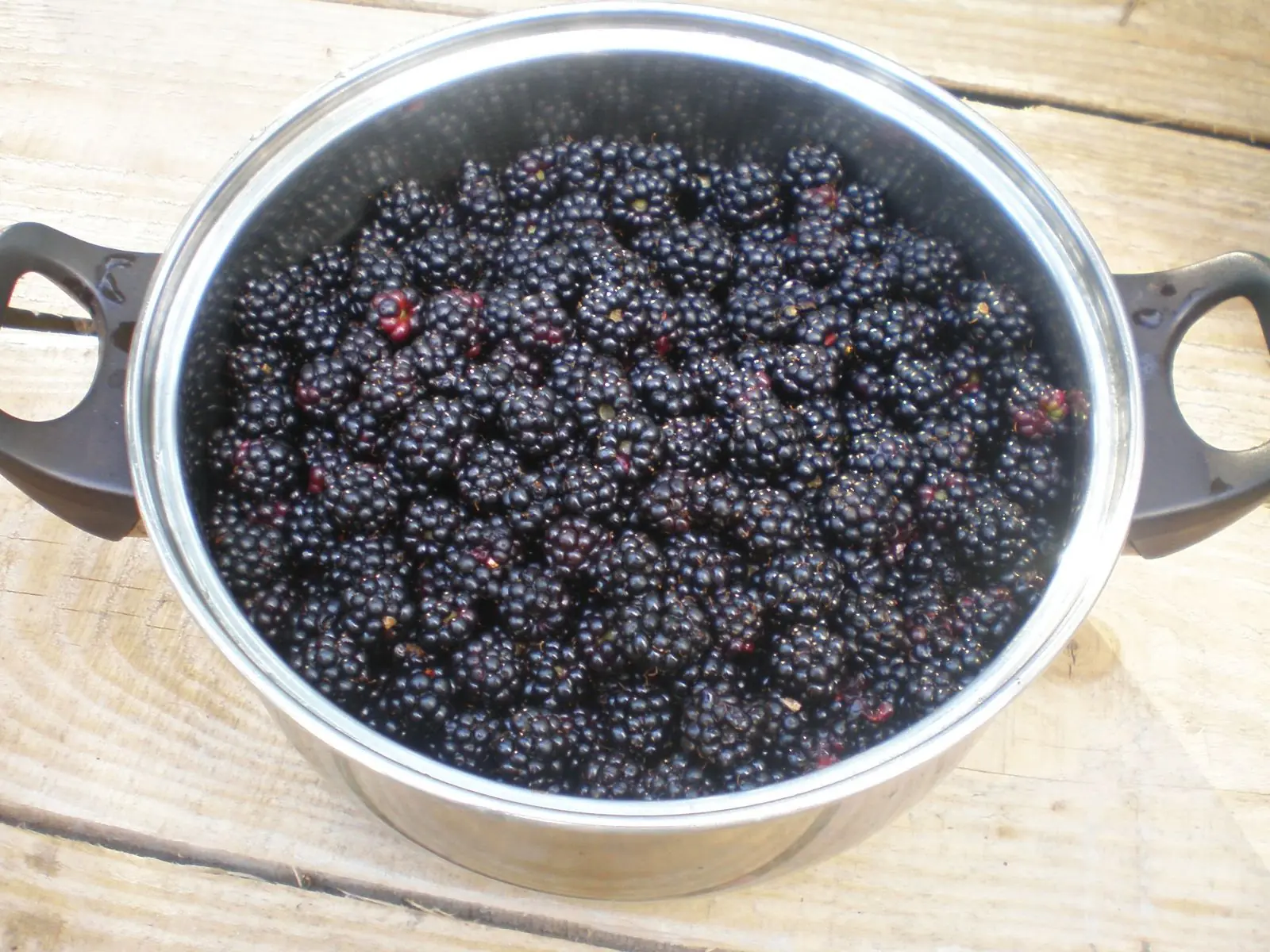 Dulce