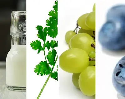 Hierbas y Jugos saludables para limpiar el riñón