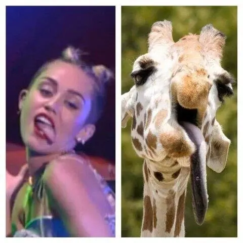 Miley