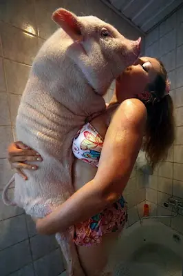 Como se rasca el mono !?