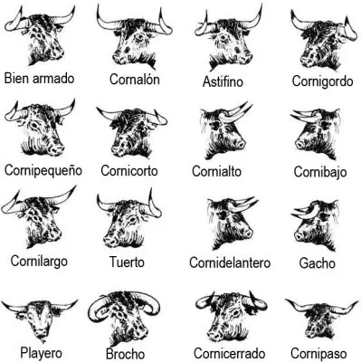 Te RE Metieron Los Cuernos Aprende Como Hacer Catarsis