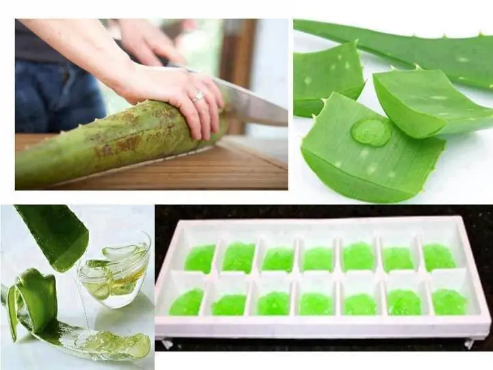 El milagro del Aloe Vera