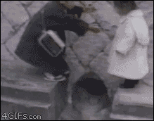 Te apuesto q te reis con estos gifs