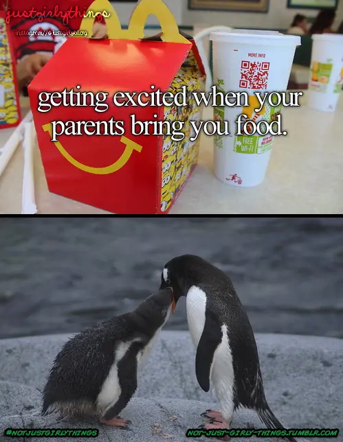 memes