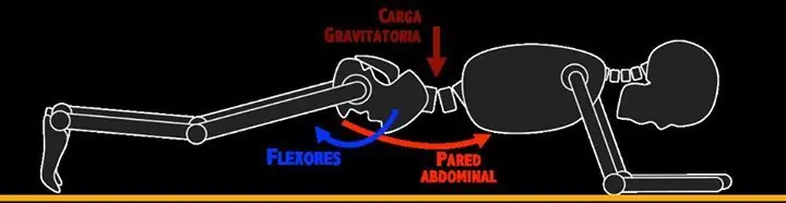 ejercicios