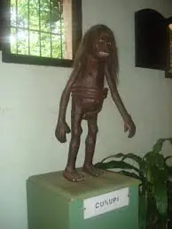 paraguaya
