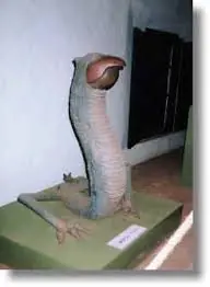 Mitologia del Paraguay