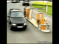 fails