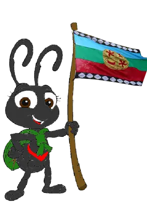 El Bichito: Informe especial: Mapuches en Chile