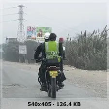 cascos