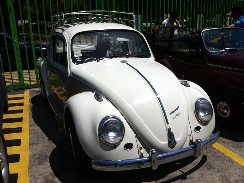 muestro