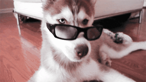 Gifs