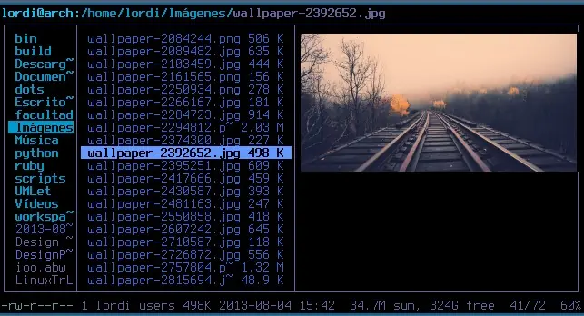Ver imagenes en terminal[Ranger]