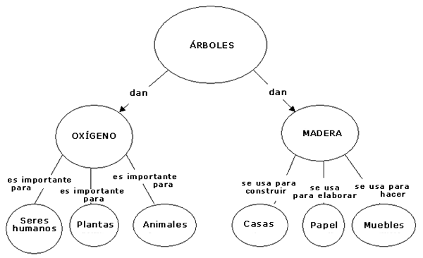 Cómo realizar un mapa conceptual...