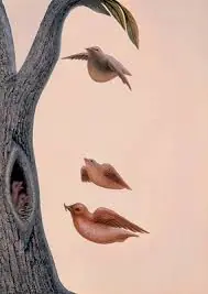 divertido
