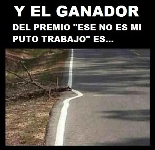 Imágenes, fails, fuuuuu, gifs, wtf?! - [Parte 11]