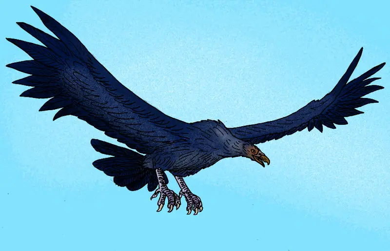 Argentavis, el ave más grande de la historia