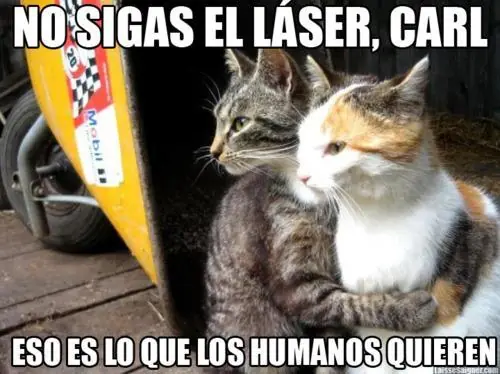 chistosas
