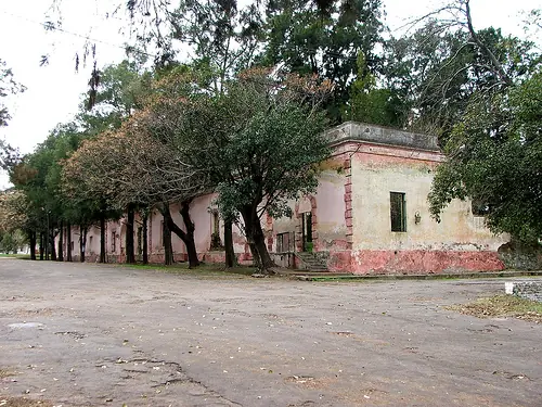 tigre