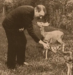 Segunda Guerra Mundial
