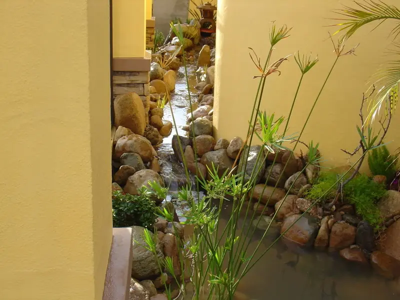 decoración