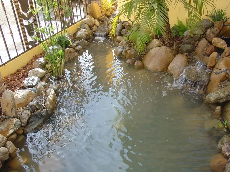 arroyo