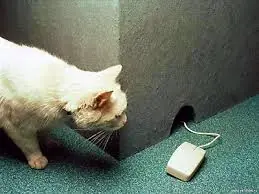 Humor grafico [Megapost]