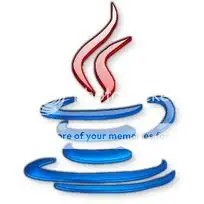 software