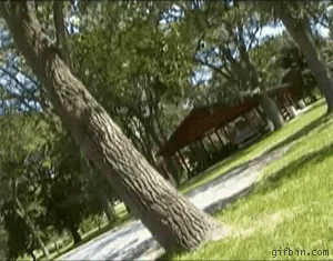 Gifs