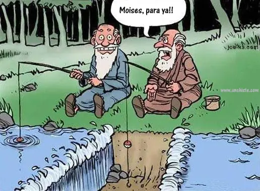 imagenes