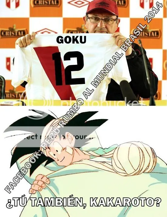 Memes sobre la selección peruana (Actualización constante)