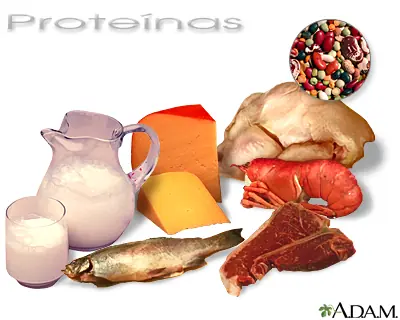 Como Desarrollar tu Musculatura [Actualizado]