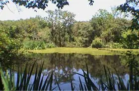 argiropolis