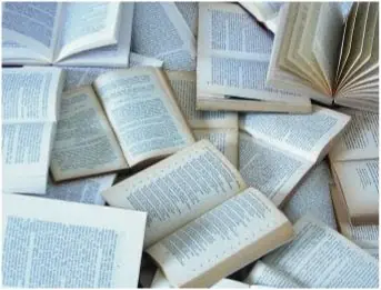 Descargas libres, Rosa Montero para el diario El País