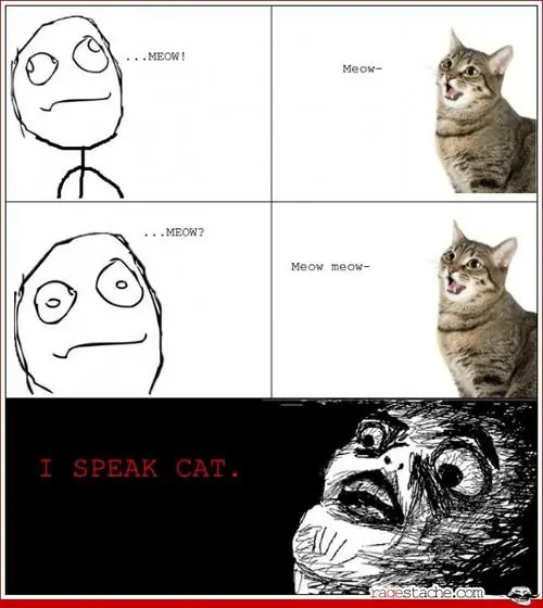 humor