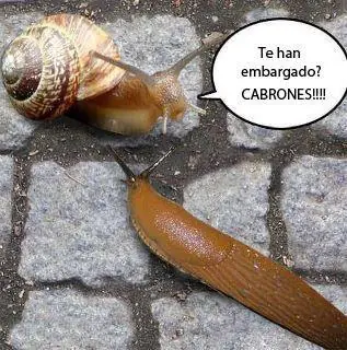 imagenes