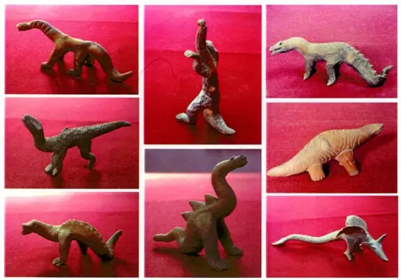 evolucion
