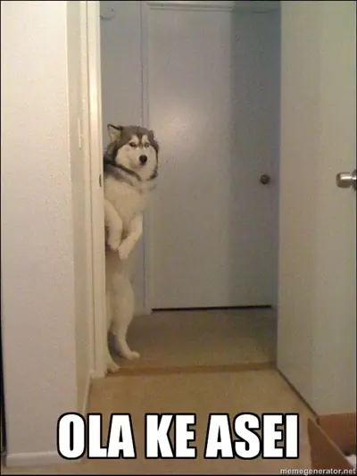 Especial Humor!
